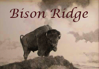 Bison Ridge logo